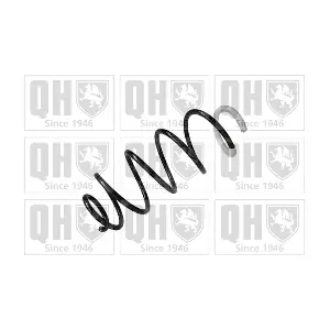 QCS6173 QUINTON HAZELL