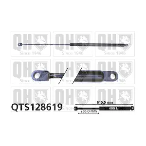 QTS128619 QUINTON HAZELL