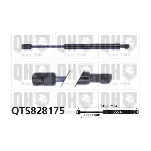 QTS828175 QUINTON HAZELL