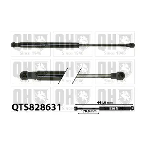 QTS828631 QUINTON HAZELL
