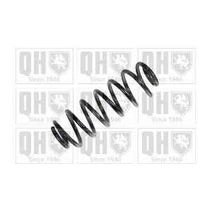 QCS8119 QUINTON HAZELL