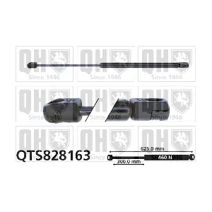 QTS828163 QUINTON HAZELL