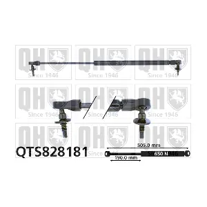 QTS828181 QUINTON HAZELL