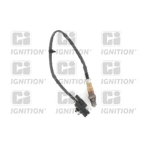 XLOS1809 QUINTON HAZELL
