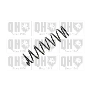 QCS6769 QUINTON HAZELL
