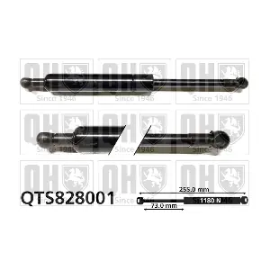 QUINTON HAZELL QTS828001