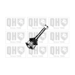 QUINTON HAZELL QSJ812S