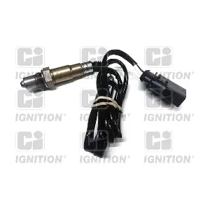 XLOS1464 QUINTON HAZELL