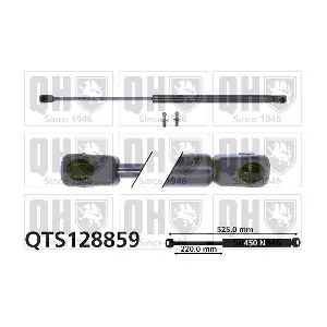 QTS128859 QUINTON HAZELL