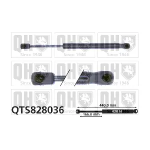 QTS828036 QUINTON HAZELL