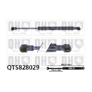 QTS828029 QUINTON HAZELL