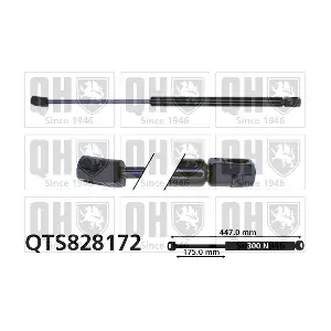 QTS828172 QUINTON HAZELL