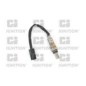 XLOS1657 QUINTON HAZELL
