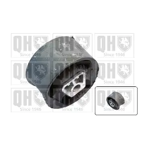 QUINTON HAZELL EM4361