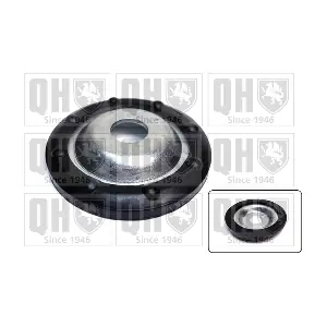 QUINTON HAZELL EMR4910