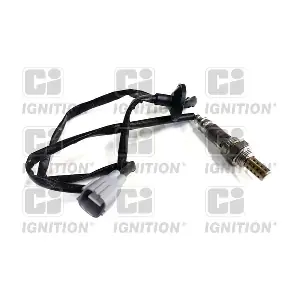 XLOS1603 QUINTON HAZELL