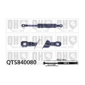 QUINTON HAZELL QTS840080
