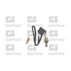 XLOS1622 QUINTON HAZELL