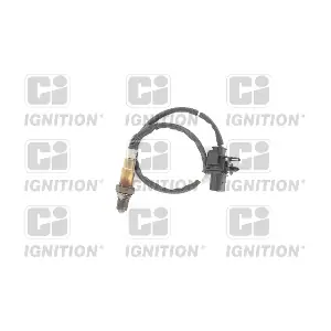 XLOS1808 QUINTON HAZELL