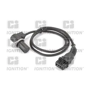QUINTON HAZELL XREV491