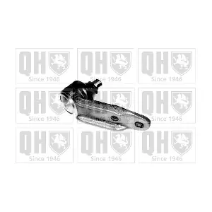 QUINTON HAZELL QSJ794S