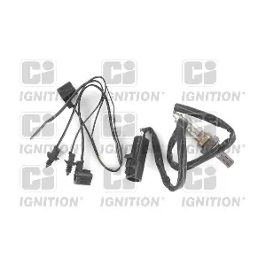 XLOS1729 QUINTON HAZELL