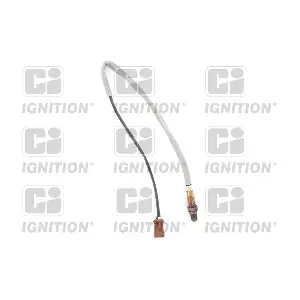 XLOS1556 QUINTON HAZELL