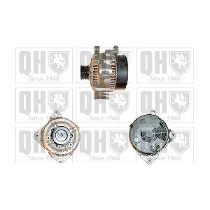 QUINTON HAZELL QRA1081