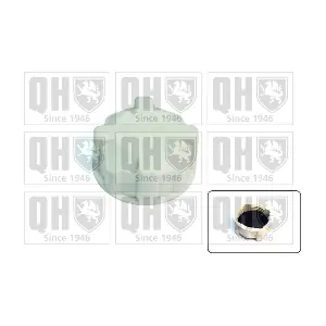 QUINTON HAZELL FC509