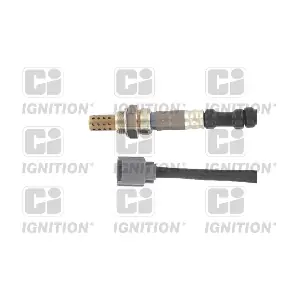 XLOS1653 QUINTON HAZELL