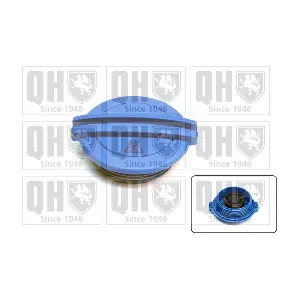 QUINTON HAZELL FC520