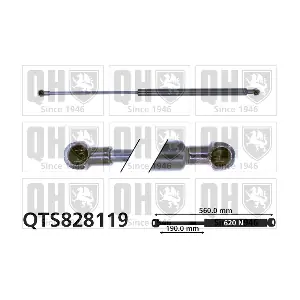 QTS828119 QUINTON HAZELL