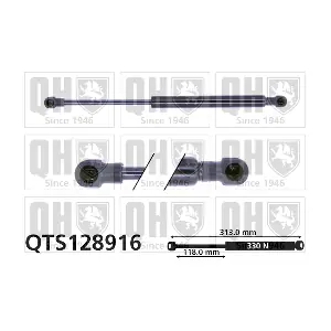 QTS128916 QUINTON HAZELL