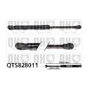 QUINTON HAZELL QTS828011