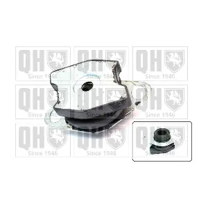 QUINTON HAZELL EM4291