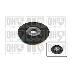 QUINTON HAZELL EMR4943
