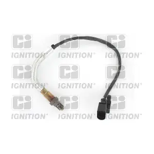 XLOS1770 QUINTON HAZELL