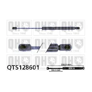 QUINTON HAZELL QTS128601