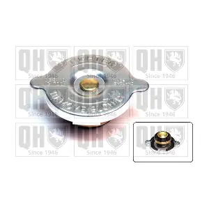 QUINTON HAZELL FC50