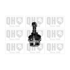 QUINTON HAZELL QSJ999S
