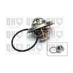 QUINTON HAZELL QTH393K