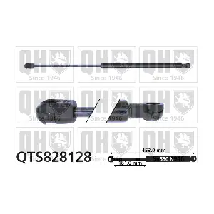 QTS828128 QUINTON HAZELL