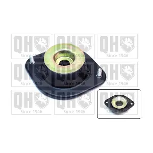 QUINTON HAZELL EMA1621