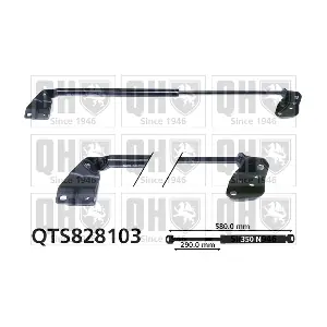 QTS828103 QUINTON HAZELL