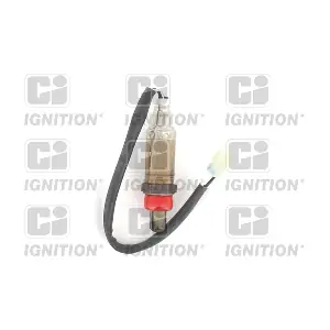 XLOS1793 QUINTON HAZELL