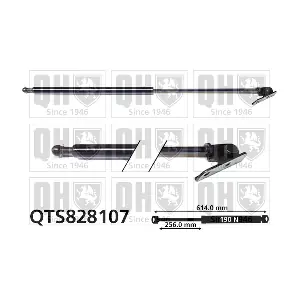 QTS828107 QUINTON HAZELL