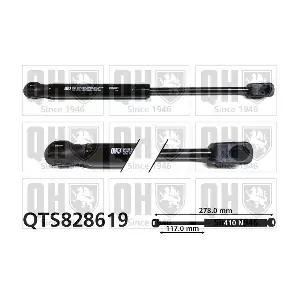 QTS828619 QUINTON HAZELL