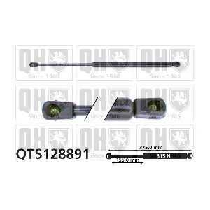 QUINTON HAZELL QTS128891