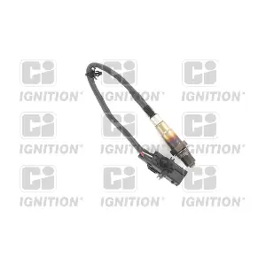 XLOS1810 QUINTON HAZELL
