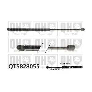 QTS828055 QUINTON HAZELL